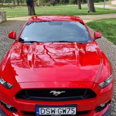 Ford Mustang 5.0 V8 GT