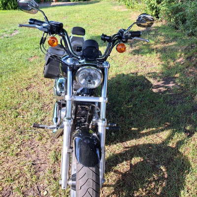 Harley Davidson sportster low 883L