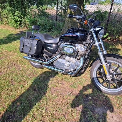 Harley Davidson sportster low 883L