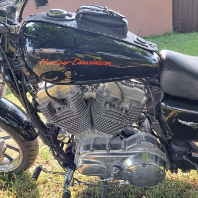 Harley Davidson sportster low 883L