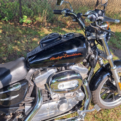 Harley Davidson sportster low 883L