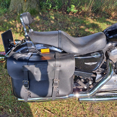 Harley Davidson sportster low 883L