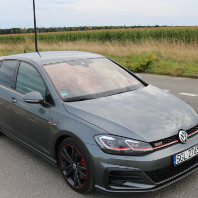 Volkswagen Golf VII 2.0 TSI BMT GTI Perf