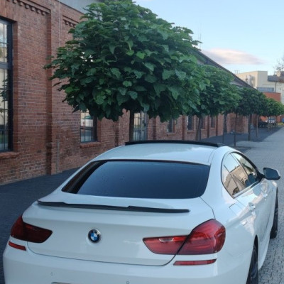 BMW 640i xDrive Gran Coupe - Zamiana
