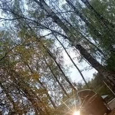 pacifika 2018 , nowe lpg