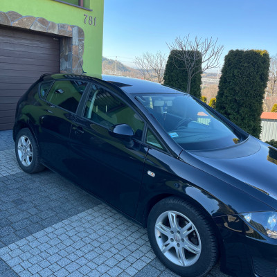 Piękny Seat Leon 2