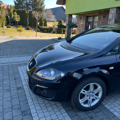 Piękny Seat Leon 2