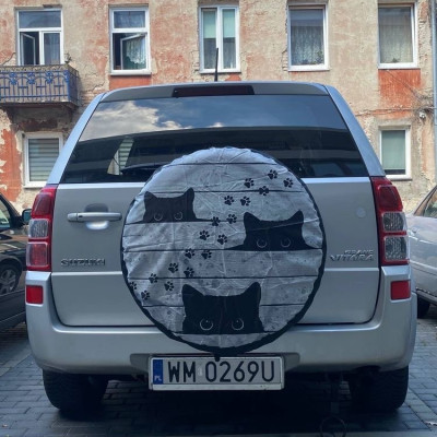 Suzuki grand vitara 2007