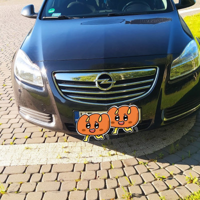 Opel insignia 1.6T do inwestowana