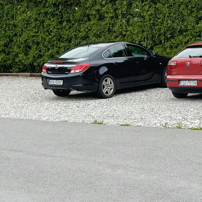 Opel insignia 1.6T do inwestowana