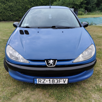PEUGEOT 206 (LPG) 215tys.km