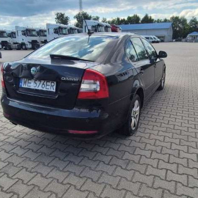 Syndyk sprzeda - Skoda Octavia